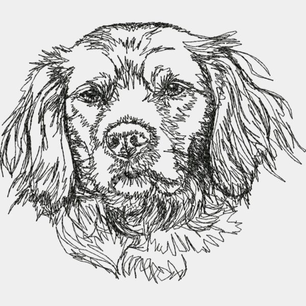 Brittany Spaniels 1 Thumbnail