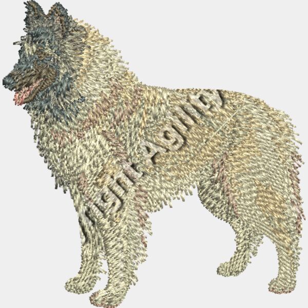 351966 COLOURS Thumbnail