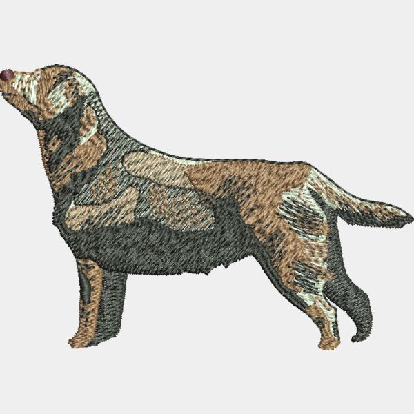 Chocolate Lab48351 Thumbnail