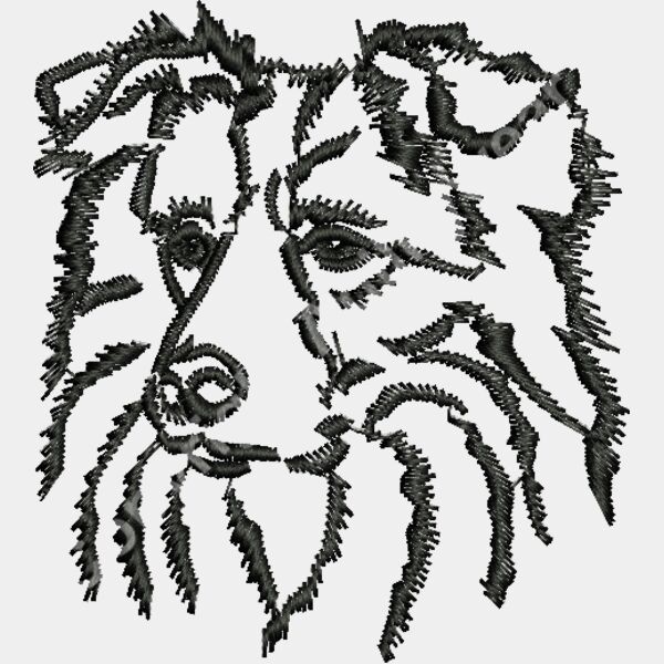 BorderCollie Portrait S DST Thumbnail