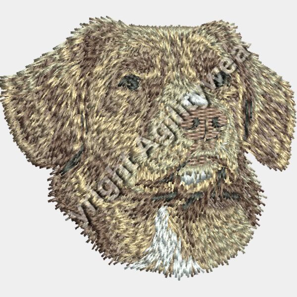 Dn511 2 31 Thumbnail