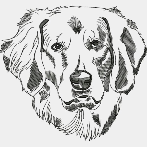 AN0182large Thumbnail