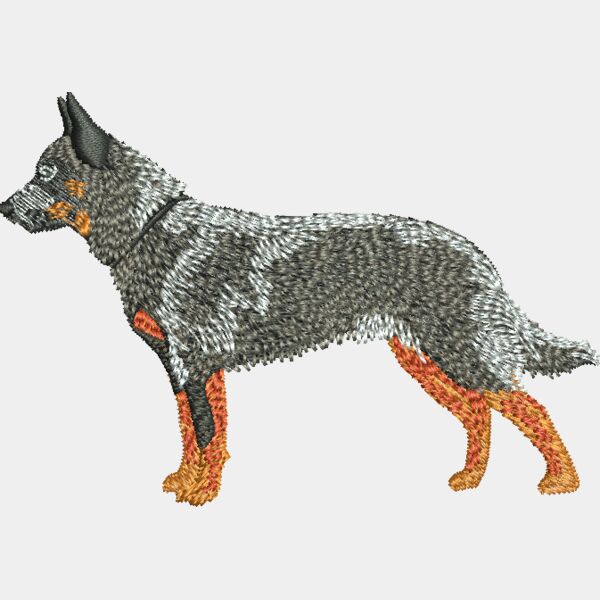 Australian Cattle Dog 48322 Thumbnail