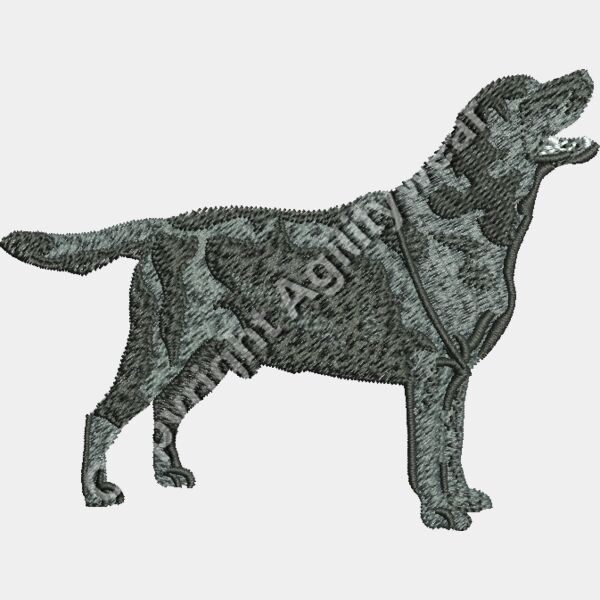 Black Lab48333 Thumbnail