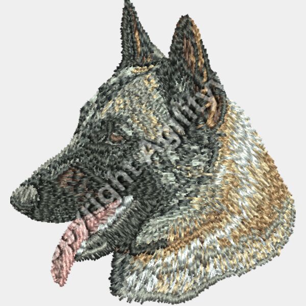 Dn338 2 16 Thumbnail