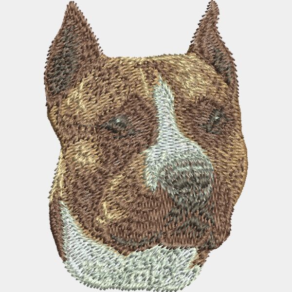 American Staffordshire Terrier d54 Thumbnail