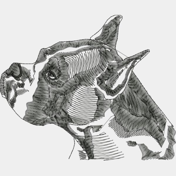 Wo271large Thumbnail