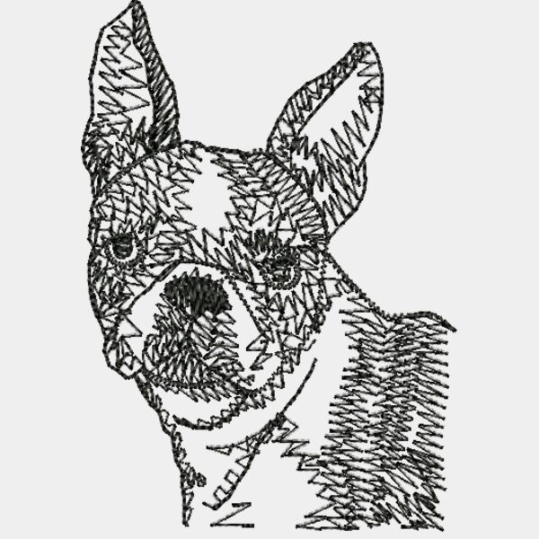 Wo274BOSTON Thumbnail