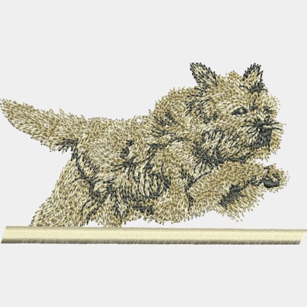 113667U2 Bterrier Thumbnail