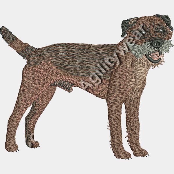 BorderTerrier48337 Thumbnail