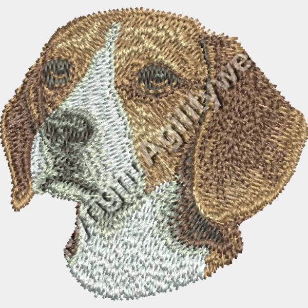 Beagle D31 Thumbnail