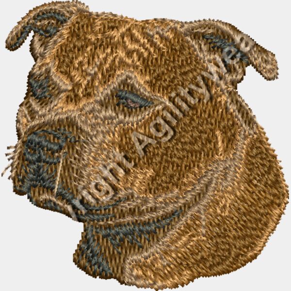 STAF2 55brindle Thumbnail