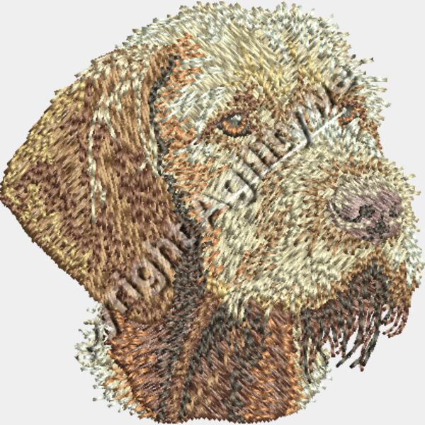 Dv197 2F16 Thumbnail