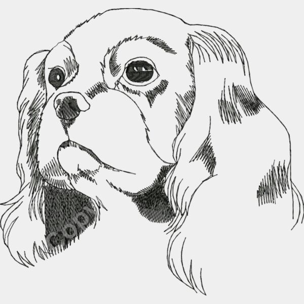 AN0149large Thumbnail