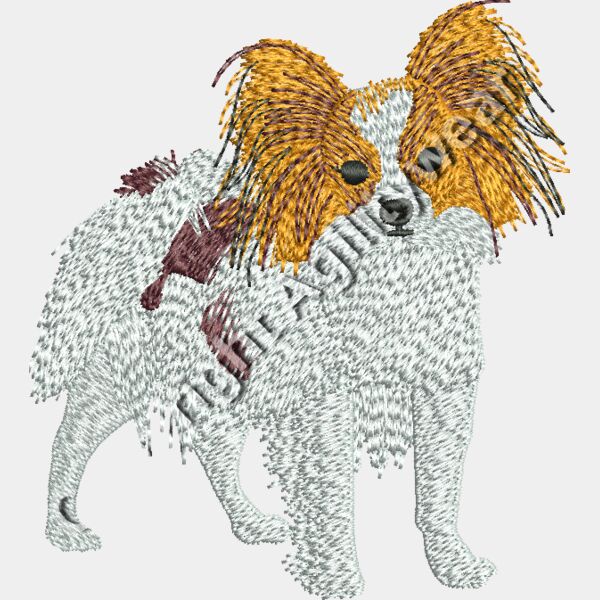 Papillion48856 Thumbnail