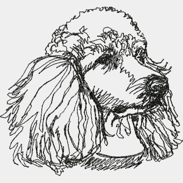 16440tafront Thumbnail