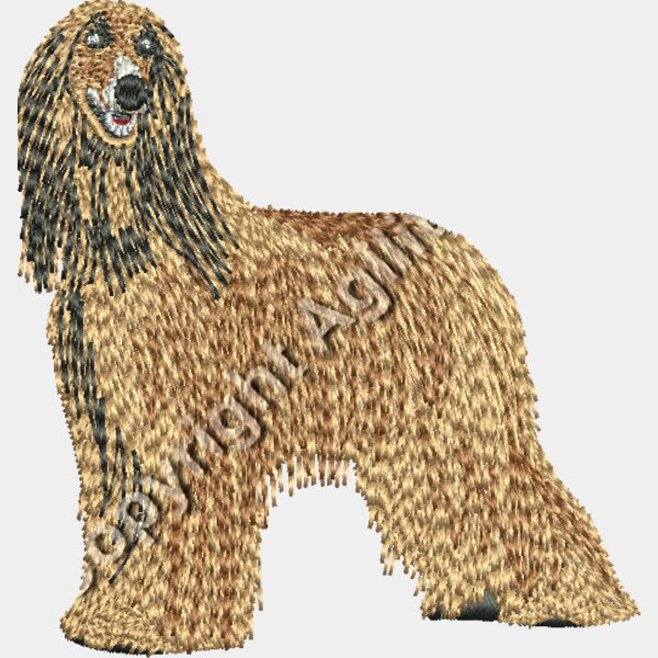 Afhgan 48316 Thumbnail