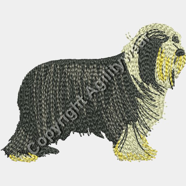 Bearded Collie48327 Thumbnail