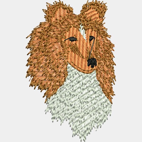 Sheltie head Thumbnail