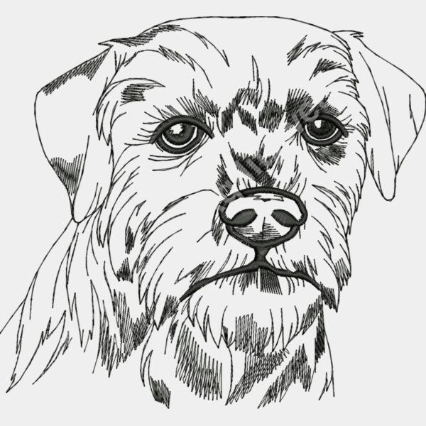 Borderterrierlarge Thumbnail