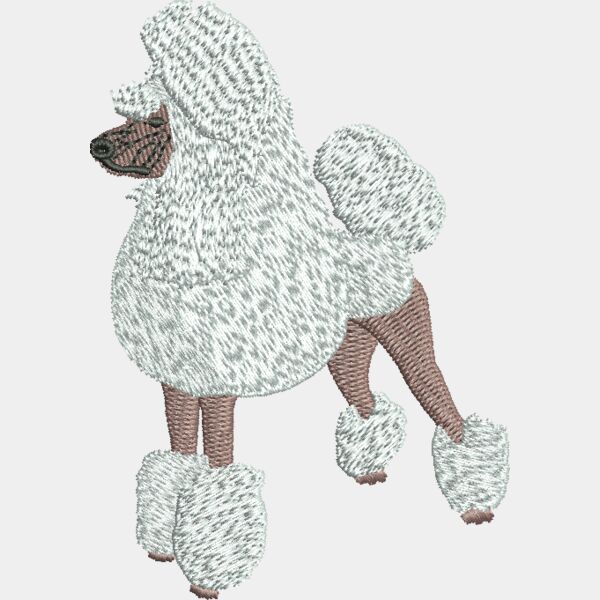 Poodle248861 Thumbnail