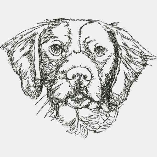 Brittany Spaniels2 Thumbnail