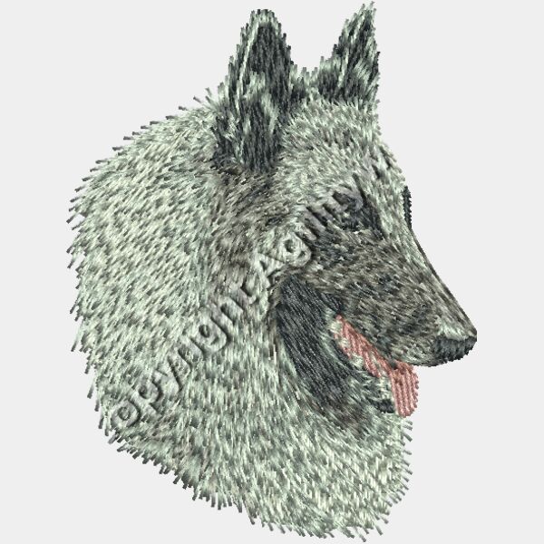 Dn478 3 08 Thumbnail