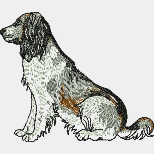 066010 2 2 Thumbnail