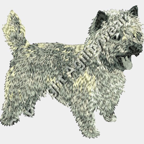 CairnTerrier body85 Thumbnail