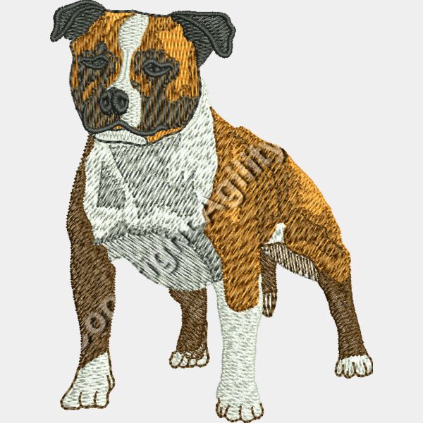 Staffordshire Bull Terrier48888 Thumbnail