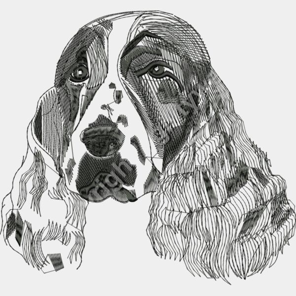 AN0636large Thumbnail