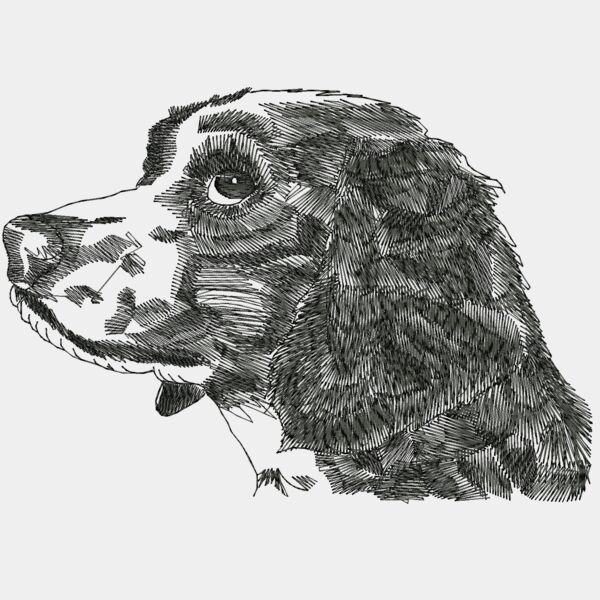 WO284large Thumbnail