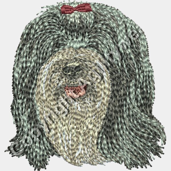 Dv364 2 16 Thumbnail