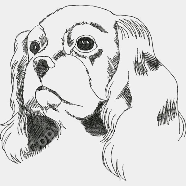 Cavalier Large Thumbnail