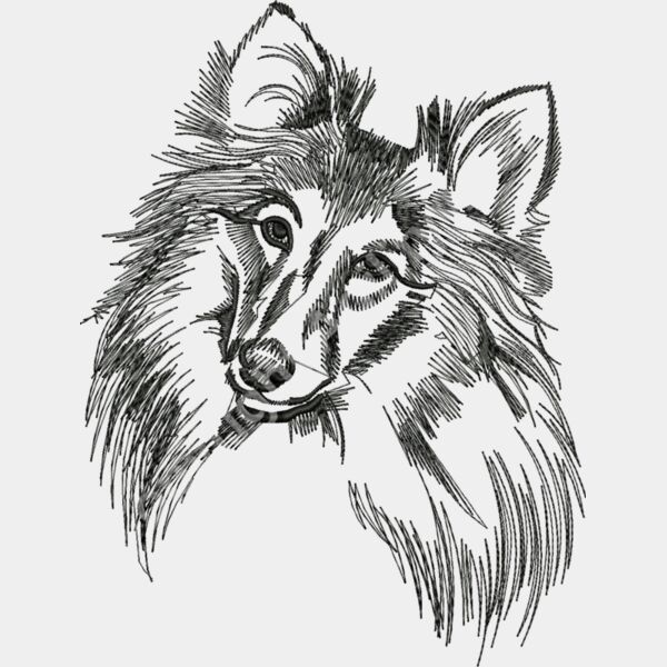 Sheltielarge Thumbnail