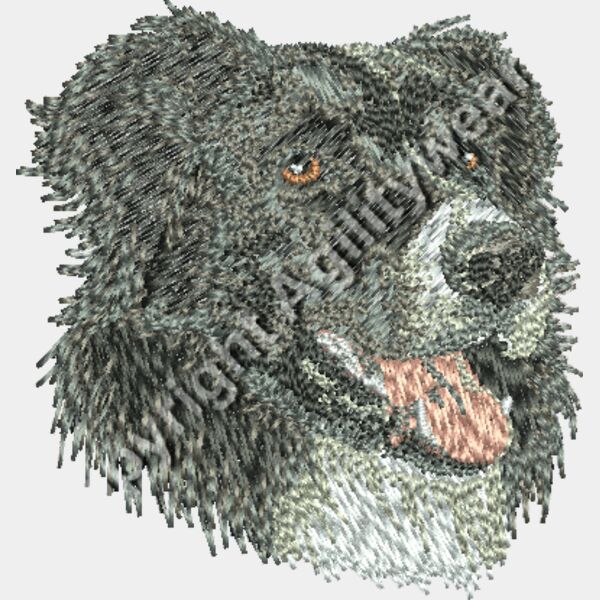 Dv204 2 16 Thumbnail