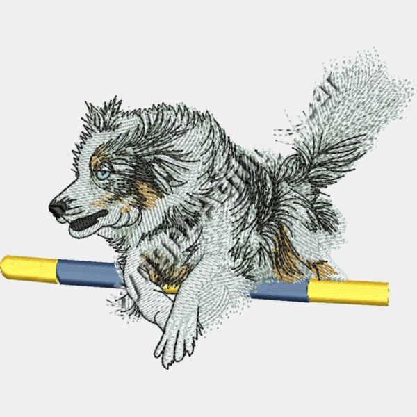 MERLECOLLIElarge Thumbnail