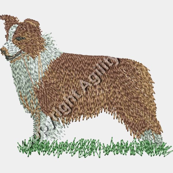 AN0553 red Thumbnail