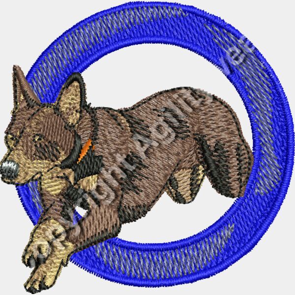 Kelpie Jumping Tyre Thumbnail