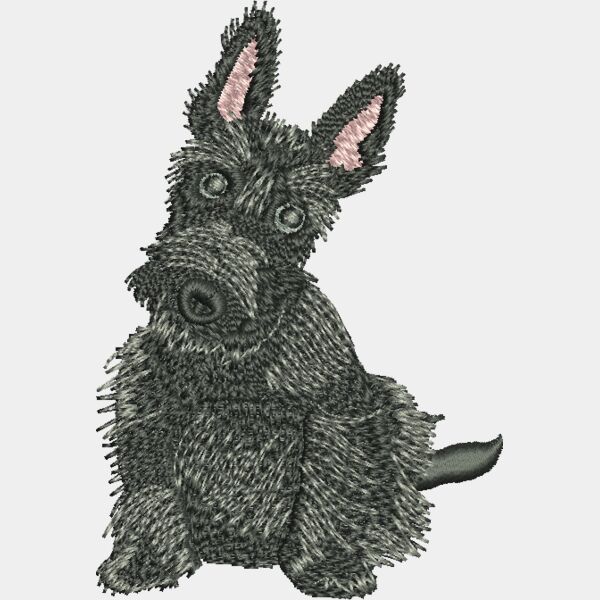 Scot 48876 Thumbnail