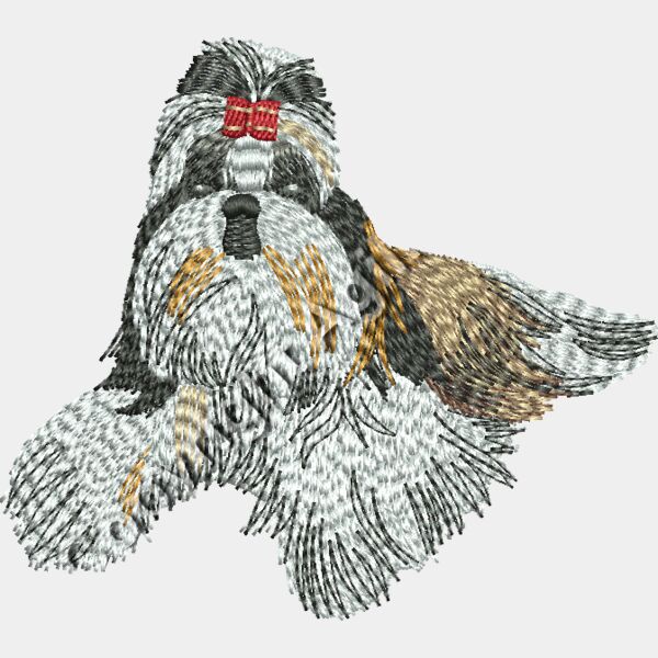 Shih tzu 48880 Thumbnail