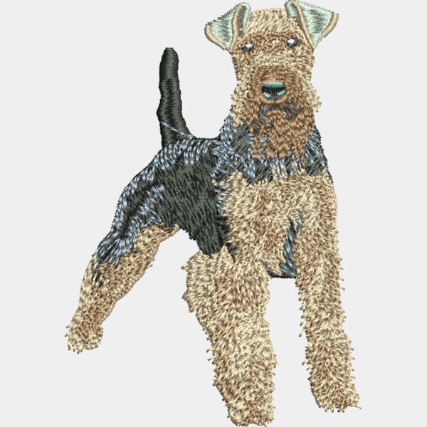 Welsh Terrier 48897 Thumbnail