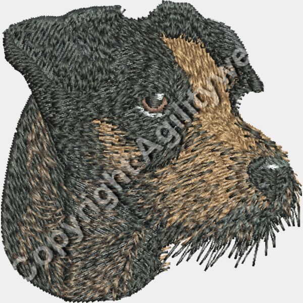 blacktanjrt Thumbnail