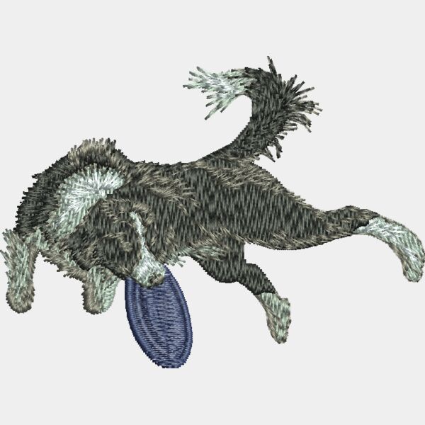 Bordercolliefrisbee Thumbnail