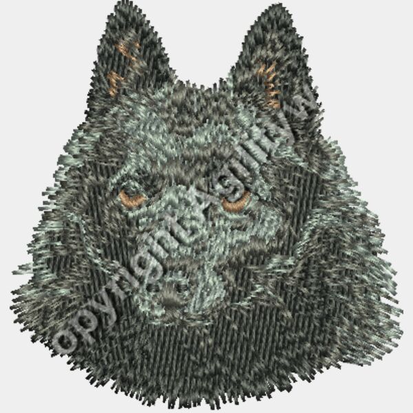 Dn434 2 43 Thumbnail