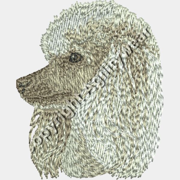 Dm407 2 56 Thumbnail