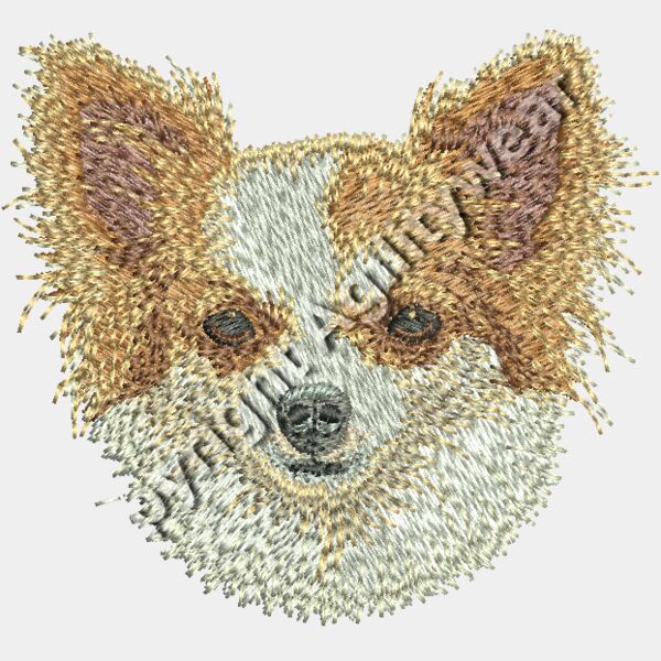 Dv383 2 95 Thumbnail