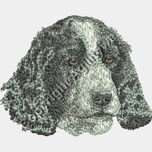 Dv377 2 16 Thumbnail