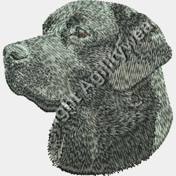 Dm508 2 56 Thumbnail