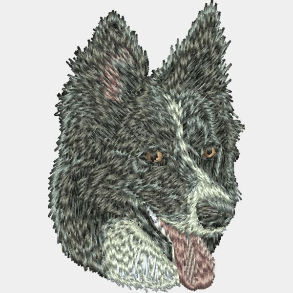 BorderCollie65 Thumbnail